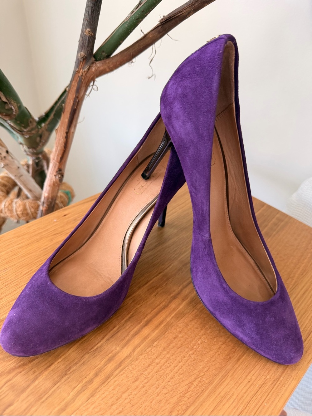 Coach Purple Suede Classic Pointed-Toe Pumps